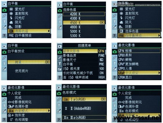 Camera Raw的详细调色技巧教程