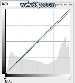 Photoshop调出外景美女肤色泛黄色调