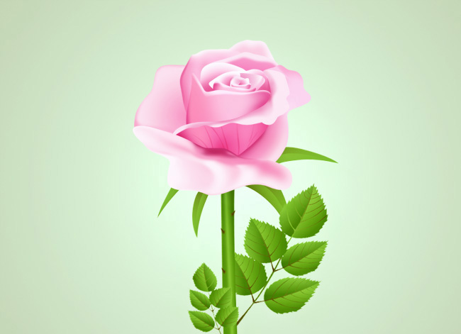 Photoshop绘制鲜嫩的玫瑰花教程