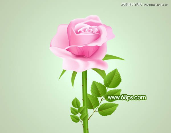 Photoshop绘制鲜嫩的玫瑰花教程