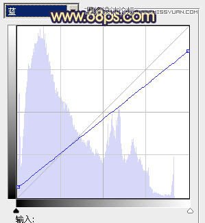Photoshop调出另类的人物黄色调