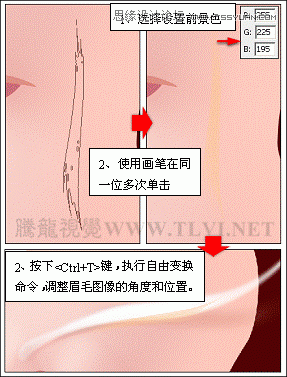 Photoshop详细解析卡通画的设计与绘制流程