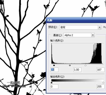 Photoshop使用通道和计算命令给树枝抠图