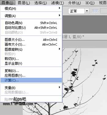 Photoshop使用通道和计算命令给树枝抠图