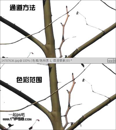 Photoshop使用通道和计算命令给树枝抠图