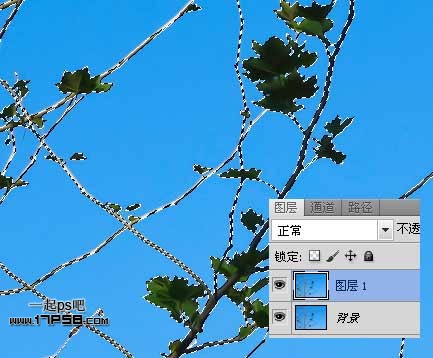 Photoshop使用通道和计算命令给树枝抠图