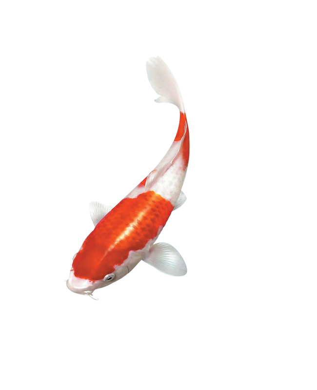 Photoshop制作动漫溶图成签教程