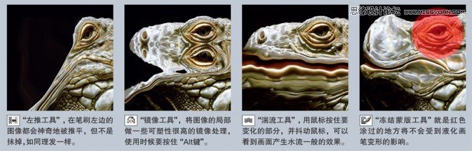 Photoshop简单实例解析液化滤镜