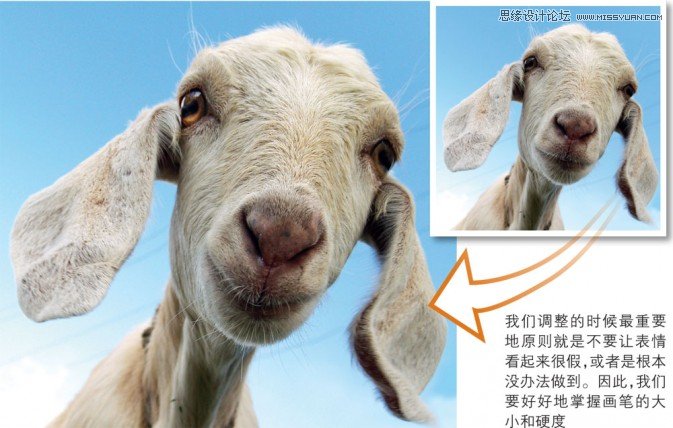 Photoshop简单实例解析液化滤镜