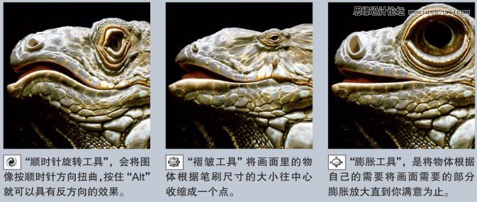 Photoshop简单实例解析液化滤镜