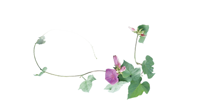 Photoshop签名教程：风花雪月古风签名