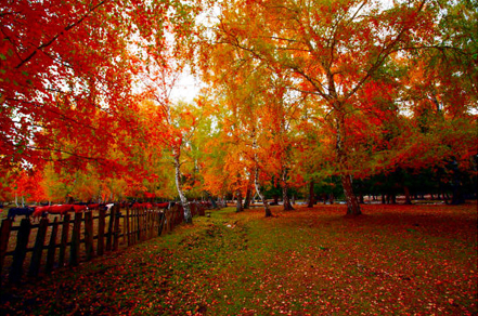PS为秋日的风景照片调出高饱和色调